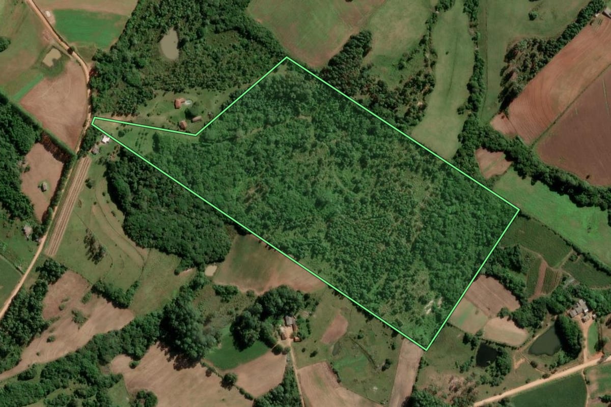 Imagem de satélite do imóvel rural em Turuçu (RS), com o contorno declarado no CAR desenhado por cima.
