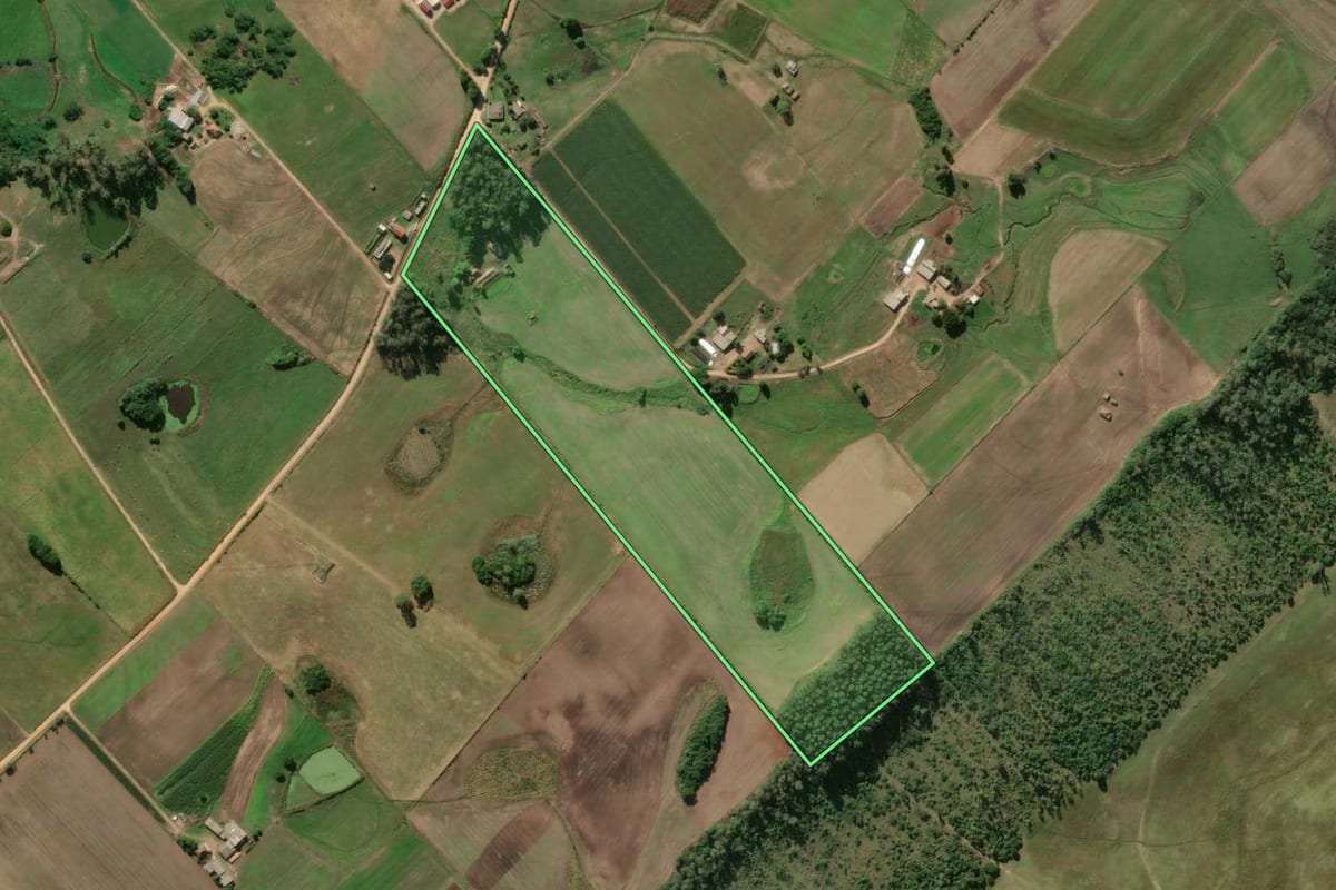 Imagem de satélite do imóvel rural em Turuçu (RS), com o contorno declarado no CAR desenhado por cima.