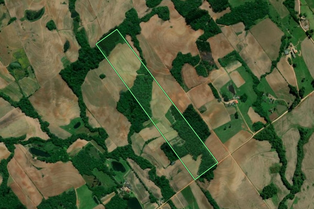 Imagem de satélite do imóvel rural em Turuçu (RS), com o contorno declarado no CAR desenhado por cima.