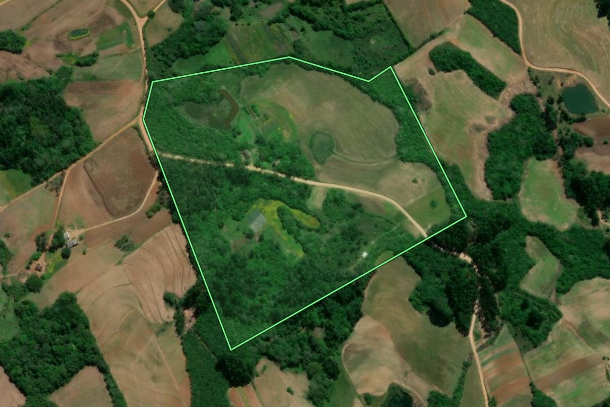 Imagem de satélite do imóvel rural em Turuçu (RS), com o contorno declarado no CAR desenhado por cima.