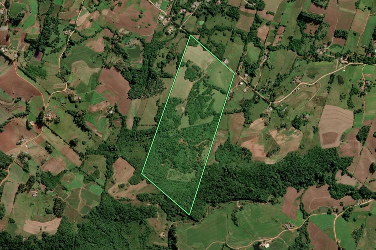 Imagem de satélite do imóvel rural em Turuçu (RS), com o contorno declarado no CAR desenhado por cima.