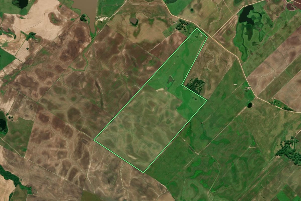 Imagem de satélite do imóvel rural em Turuçu (RS), com o contorno declarado no CAR desenhado por cima.
