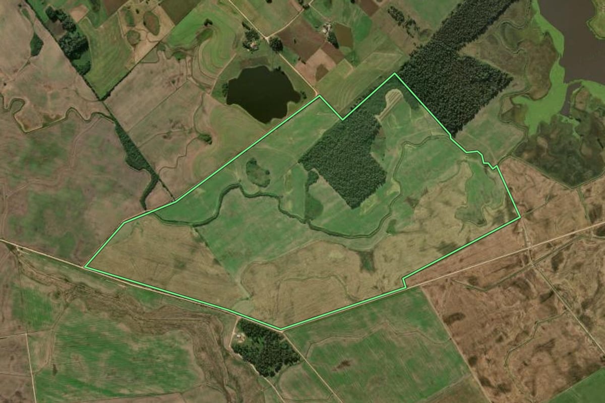 Imagem de satélite do imóvel rural em Turuçu (RS), com o contorno declarado no CAR desenhado por cima.