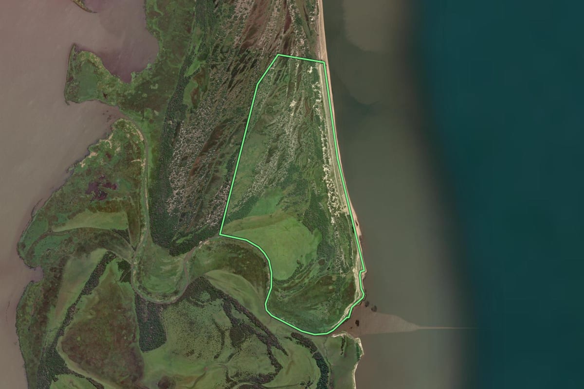Imagem de satélite do imóvel rural em Turuçu (RS), com o contorno declarado no CAR desenhado por cima.