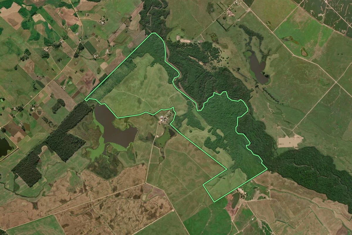 Imagem de satélite do imóvel rural em Turuçu (RS), com o contorno declarado no CAR desenhado por cima.