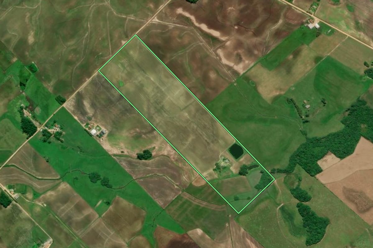Imagem de satélite do imóvel rural em Turuçu (RS), com o contorno declarado no CAR desenhado por cima.