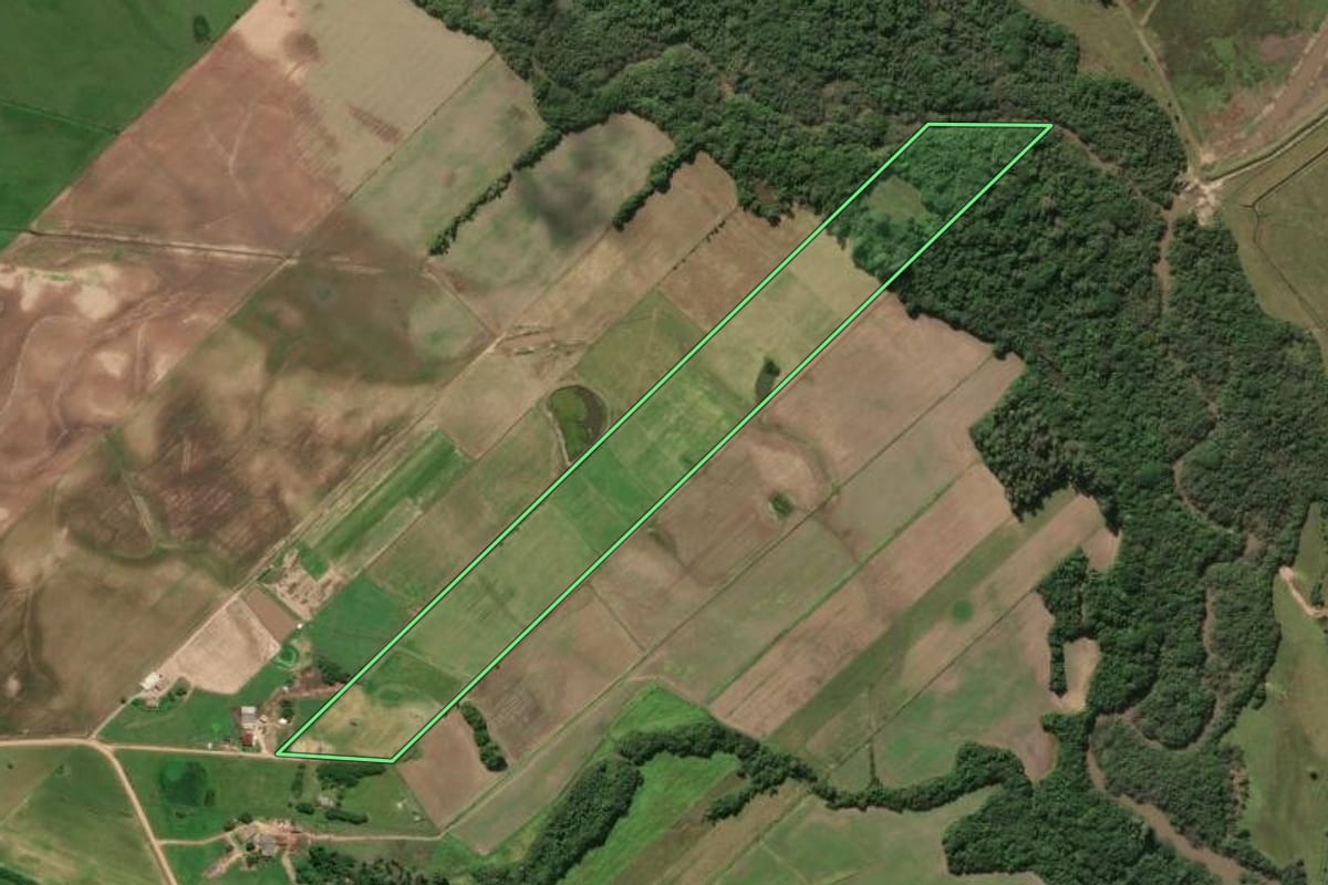 Imagem de satélite do imóvel rural em Turuçu (RS), com o contorno declarado no CAR desenhado por cima.