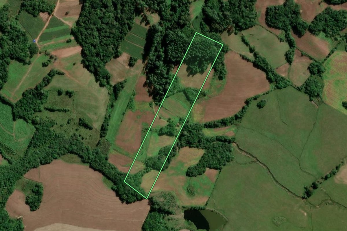 Imagem de satélite do imóvel rural em Turuçu (RS), com o contorno declarado no CAR desenhado por cima.