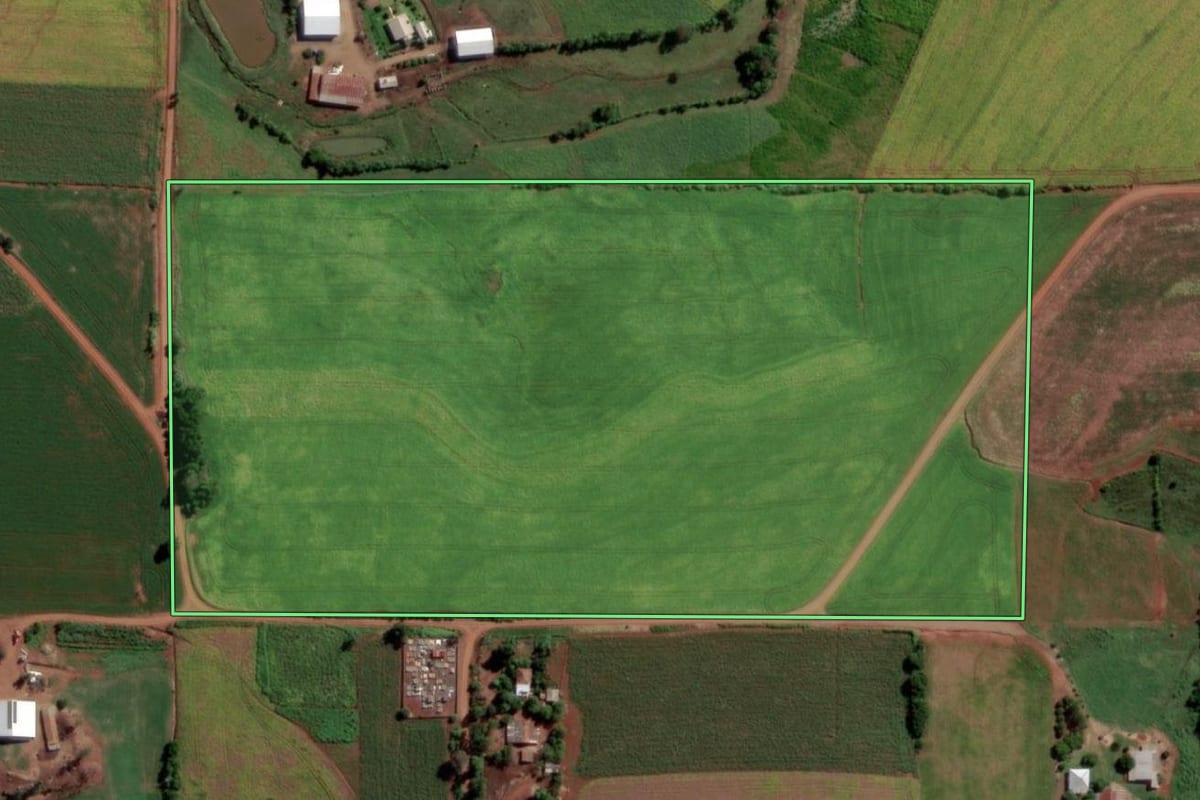 Imagem de satélite do imóvel rural em Ubiretama (RS), com o contorno declarado no CAR desenhado por cima.