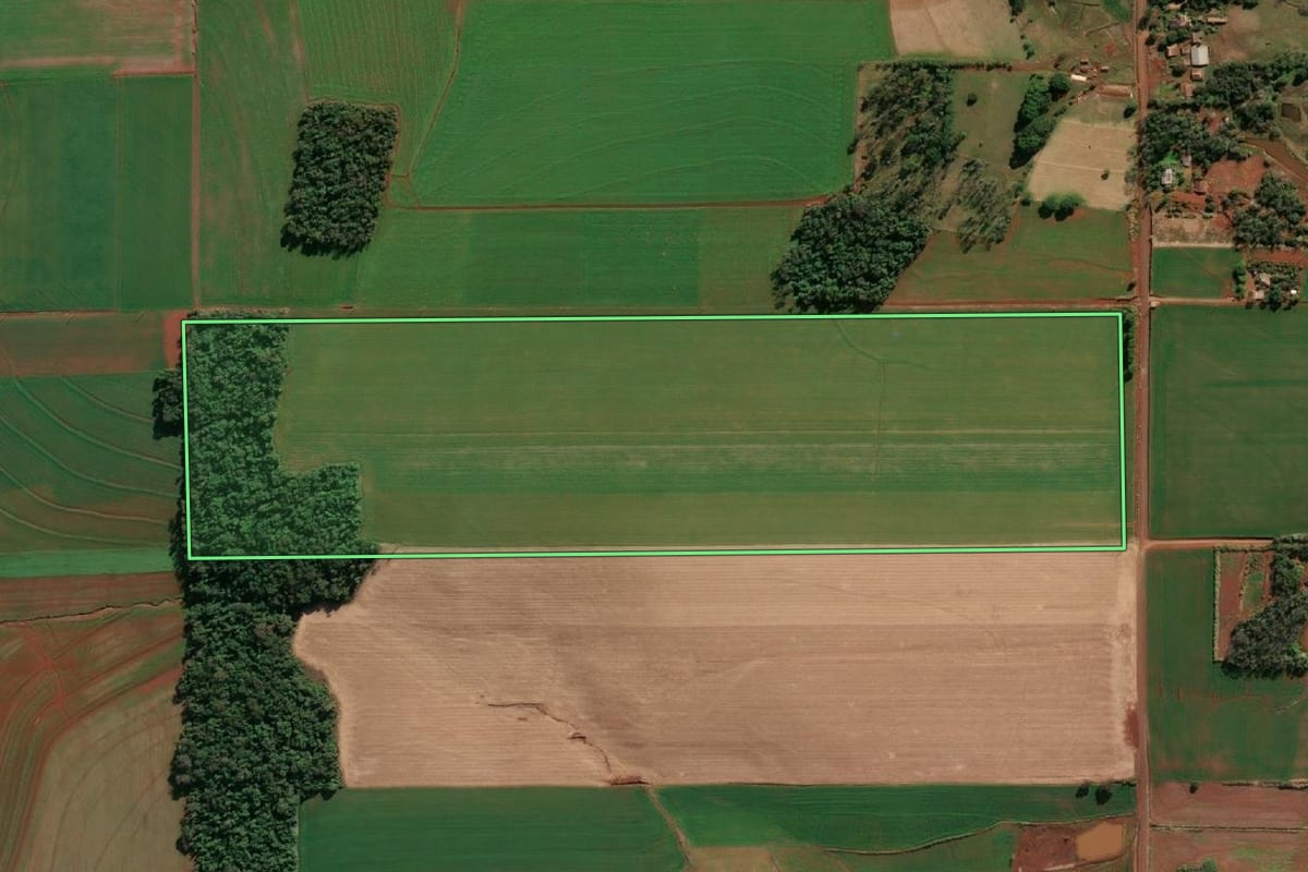 Imagem de satélite do imóvel rural em Ubiretama (RS), com o contorno declarado no CAR desenhado por cima.