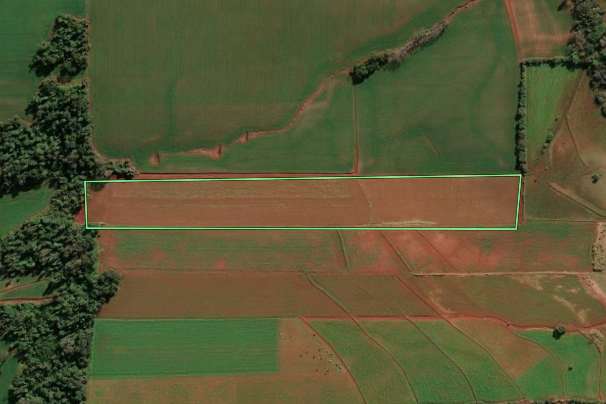 Imagem de satélite do imóvel rural em Ubiretama (RS), com o contorno declarado no CAR desenhado por cima.