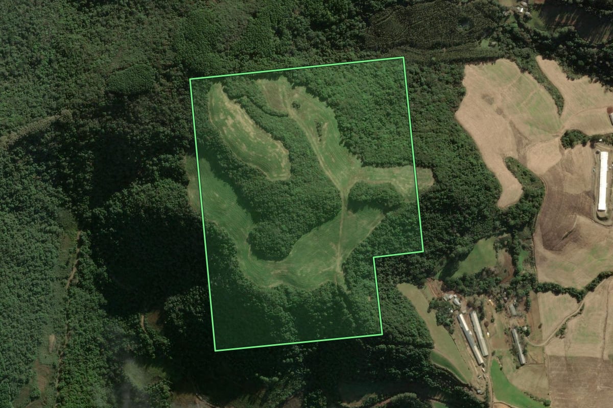 Imagem de satélite do imóvel rural em União da Serra (RS), com o contorno declarado no CAR desenhado por cima.
