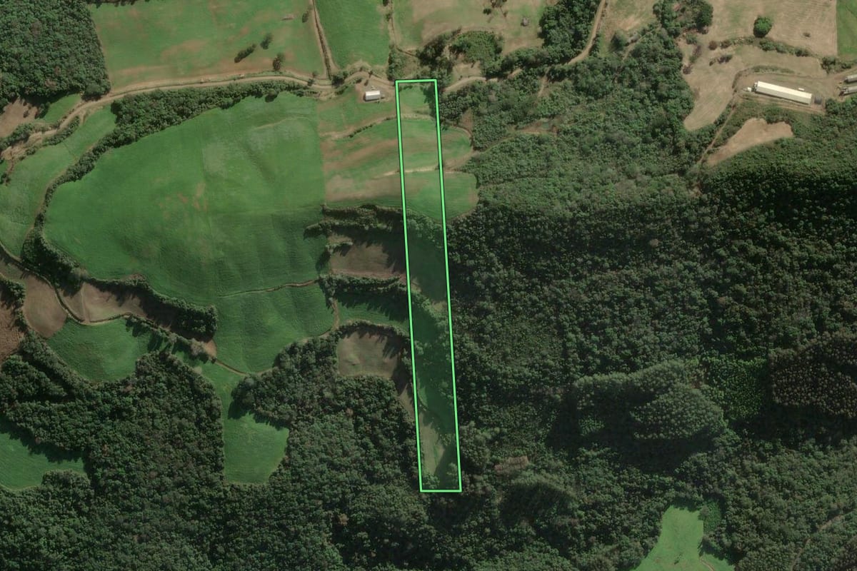 Imagem de satélite do imóvel rural em União da Serra (RS), com o contorno declarado no CAR desenhado por cima.