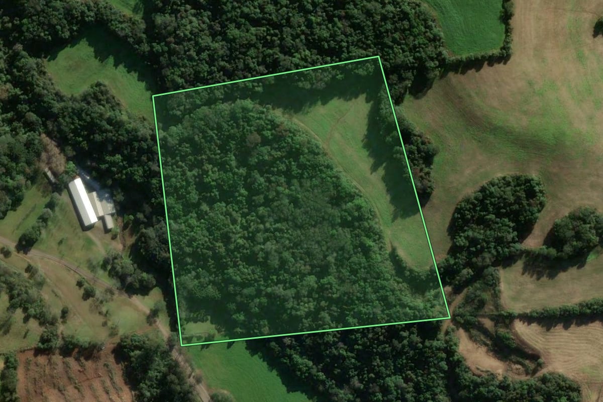 Imagem de satélite do imóvel rural em União da Serra (RS), com o contorno declarado no CAR desenhado por cima.