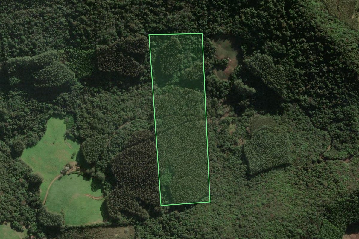 Imagem de satélite do imóvel rural em União da Serra (RS), com o contorno declarado no CAR desenhado por cima.