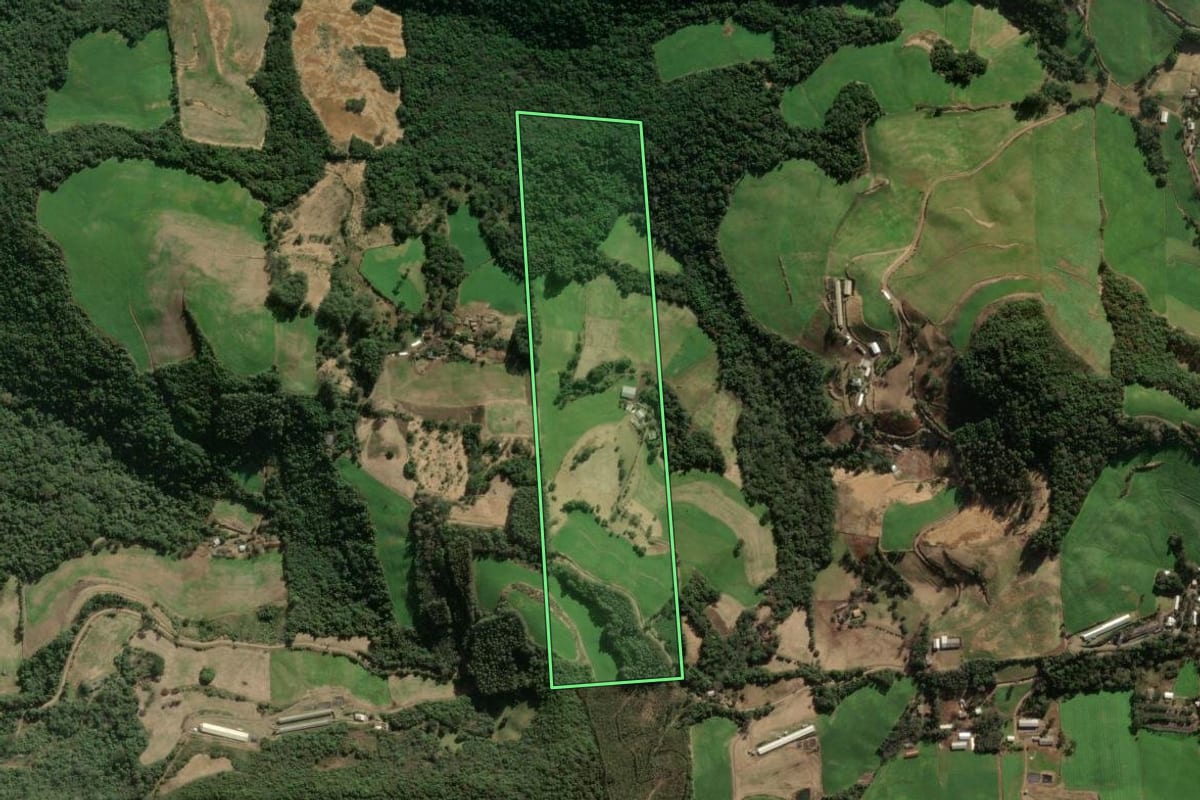 Imagem de satélite do imóvel rural em União da Serra (RS), com o contorno declarado no CAR desenhado por cima.
