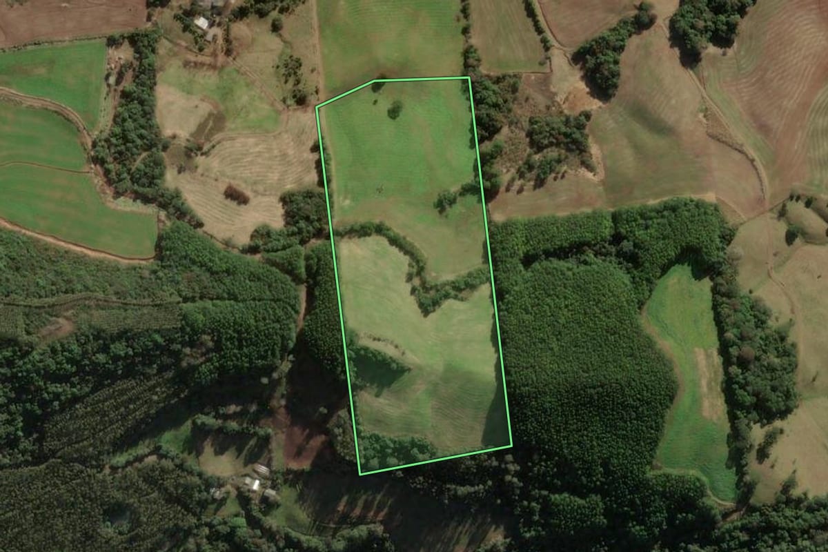 Imagem de satélite do imóvel rural em União da Serra (RS), com o contorno declarado no CAR desenhado por cima.