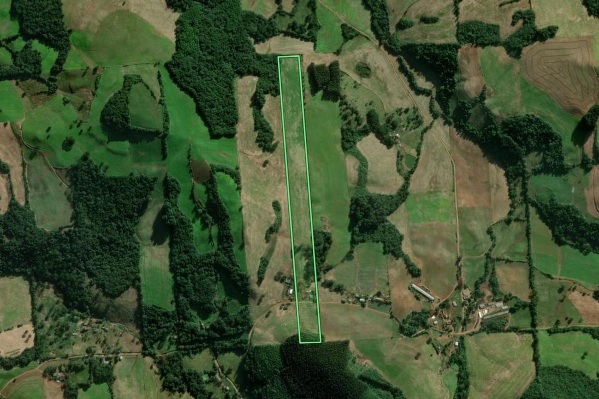 Imagem de satélite do imóvel rural em União da Serra (RS), com o contorno declarado no CAR desenhado por cima.