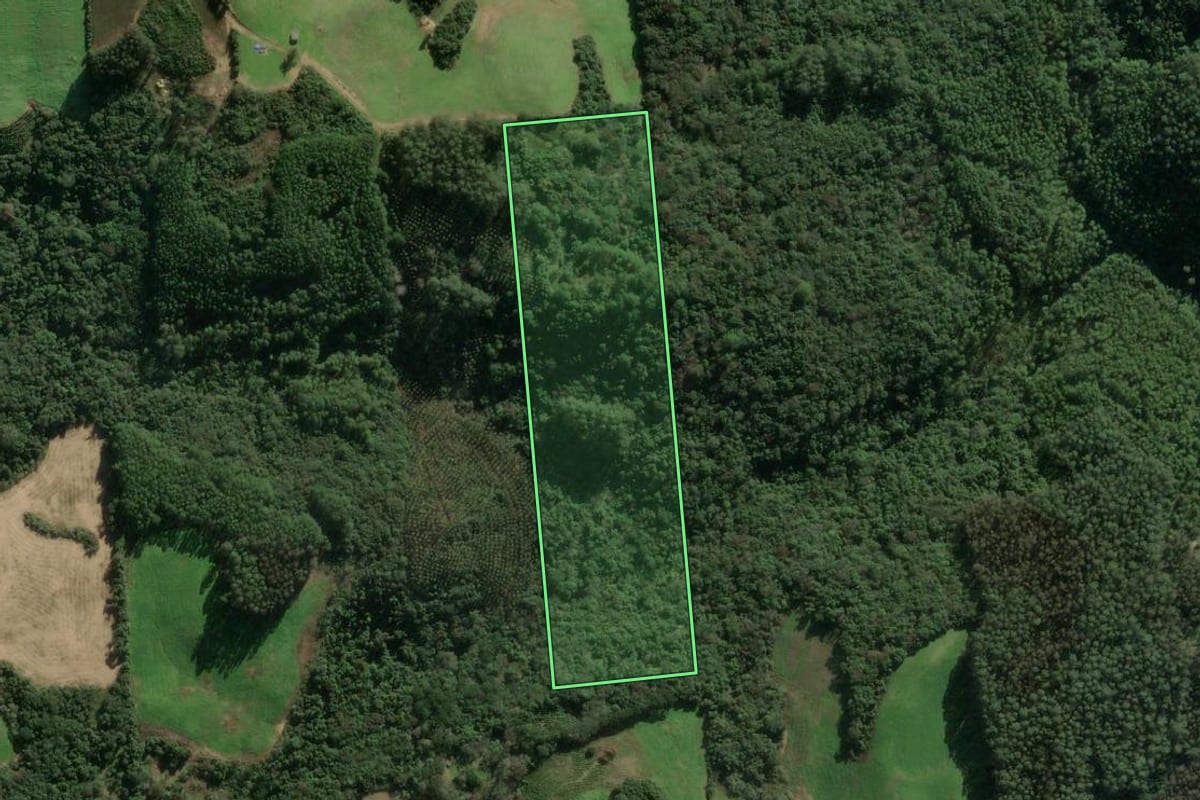 Imagem de satélite do imóvel rural em União da Serra (RS), com o contorno declarado no CAR desenhado por cima.
