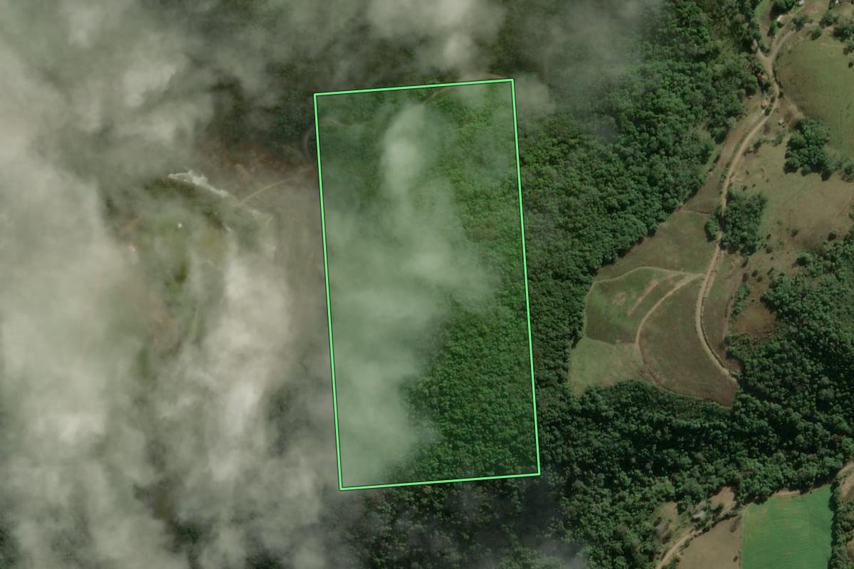 Imagem de satélite do imóvel rural em União da Serra (RS), com o contorno declarado no CAR desenhado por cima.