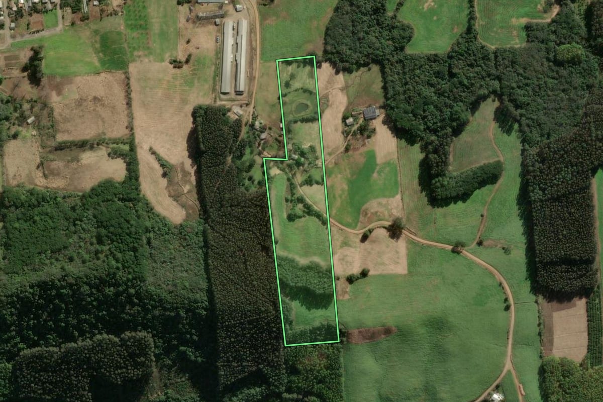 Imagem de satélite do imóvel rural em União da Serra (RS), com o contorno declarado no CAR desenhado por cima.