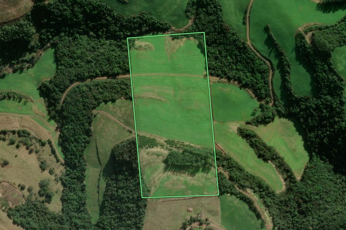 Imagem de satélite do imóvel rural em União da Serra (RS), com o contorno declarado no CAR desenhado por cima.