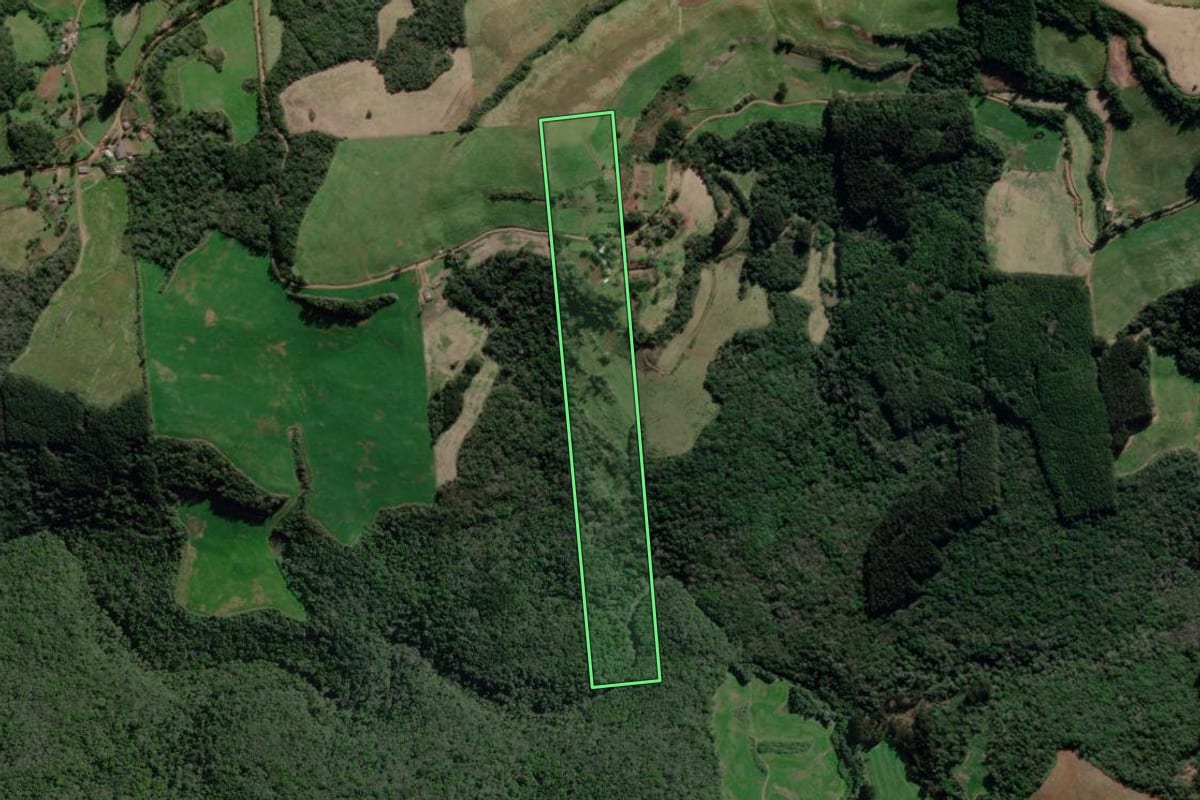 Imagem de satélite do imóvel rural em União da Serra (RS), com o contorno declarado no CAR desenhado por cima.