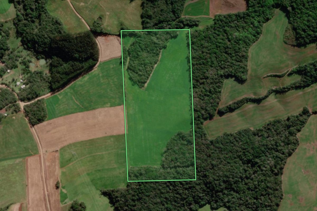 Imagem de satélite do imóvel rural em União da Serra (RS), com o contorno declarado no CAR desenhado por cima.