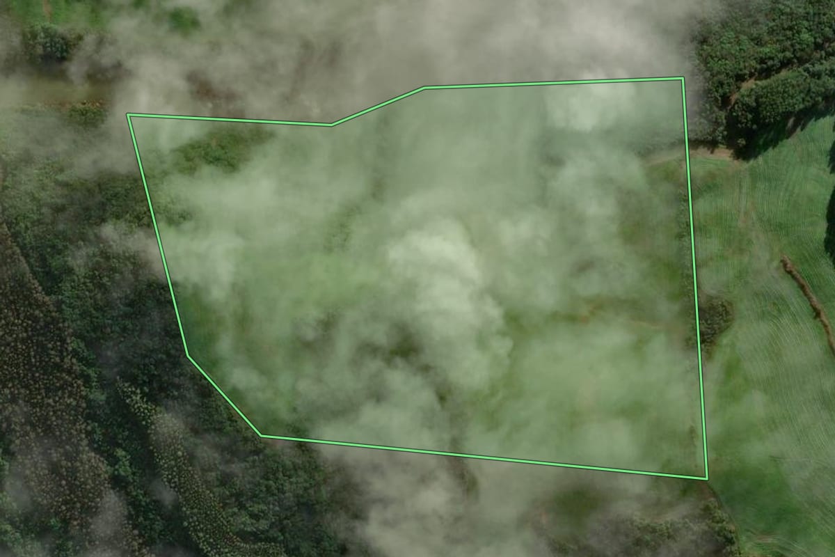 Imagem de satélite do imóvel rural em União da Serra (RS), com o contorno declarado no CAR desenhado por cima.