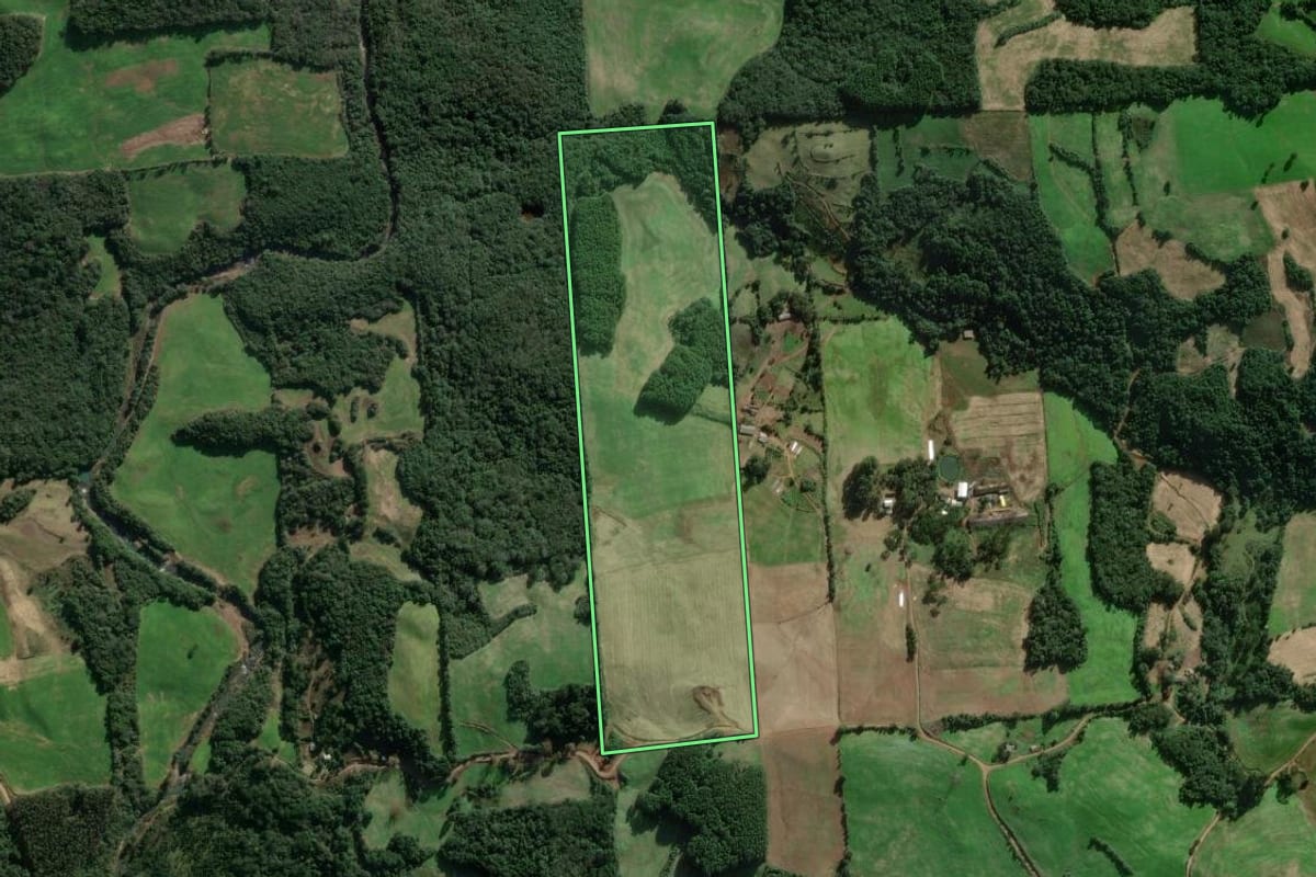 Imagem de satélite do imóvel rural em União da Serra (RS), com o contorno declarado no CAR desenhado por cima.