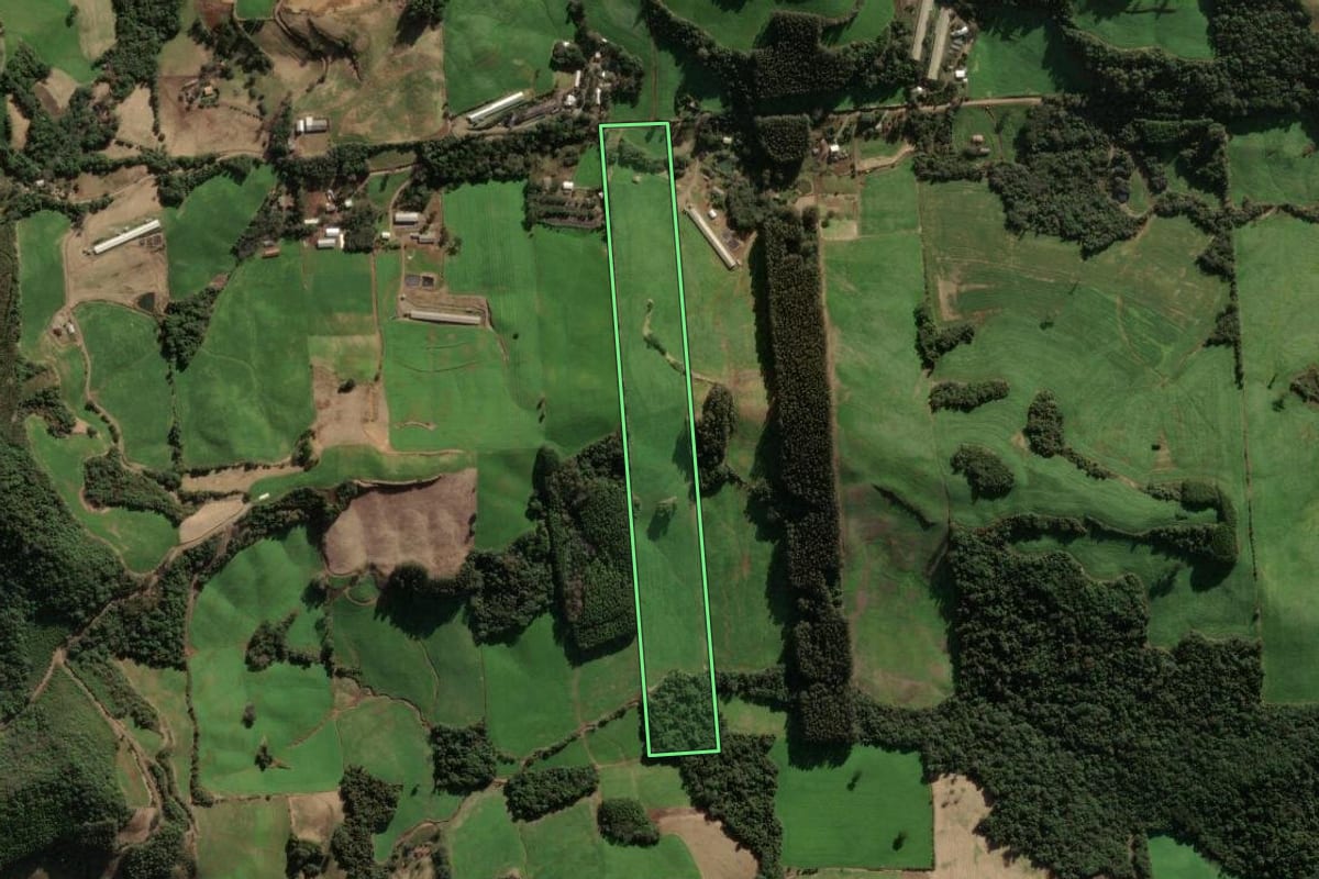 Imagem de satélite do imóvel rural em União da Serra (RS), com o contorno declarado no CAR desenhado por cima.