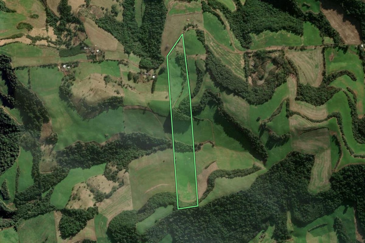 Imagem de satélite do imóvel rural em União da Serra (RS), com o contorno declarado no CAR desenhado por cima.