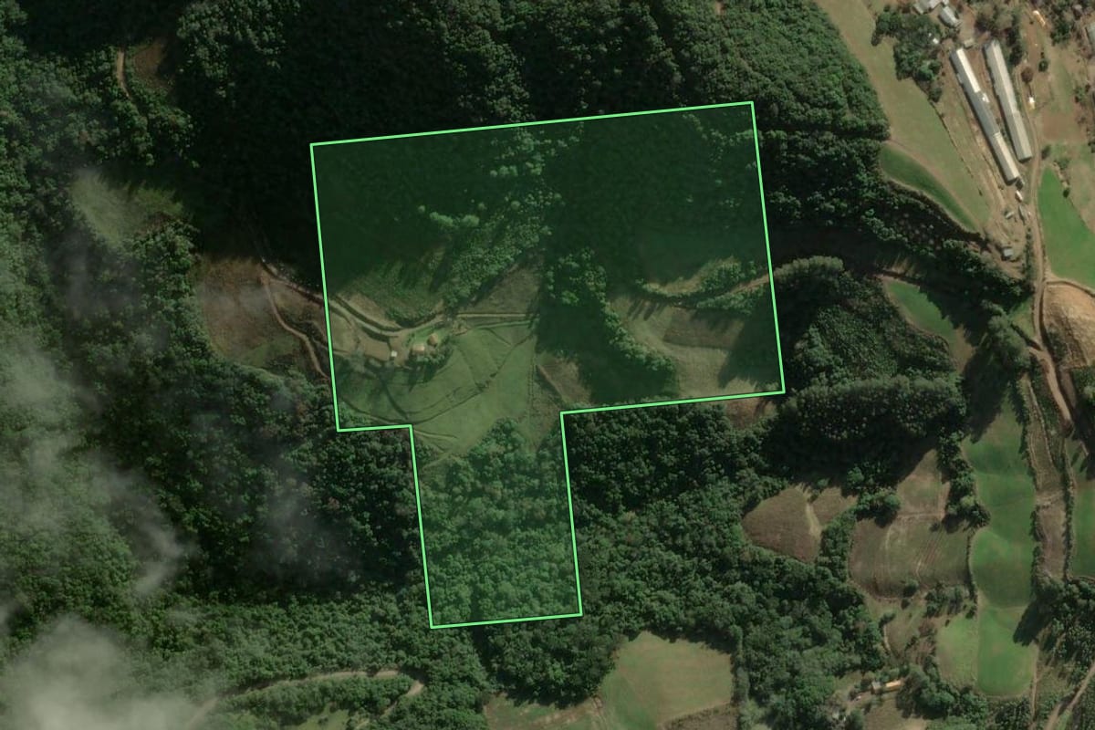 Imagem de satélite do imóvel rural em União da Serra (RS), com o contorno declarado no CAR desenhado por cima.