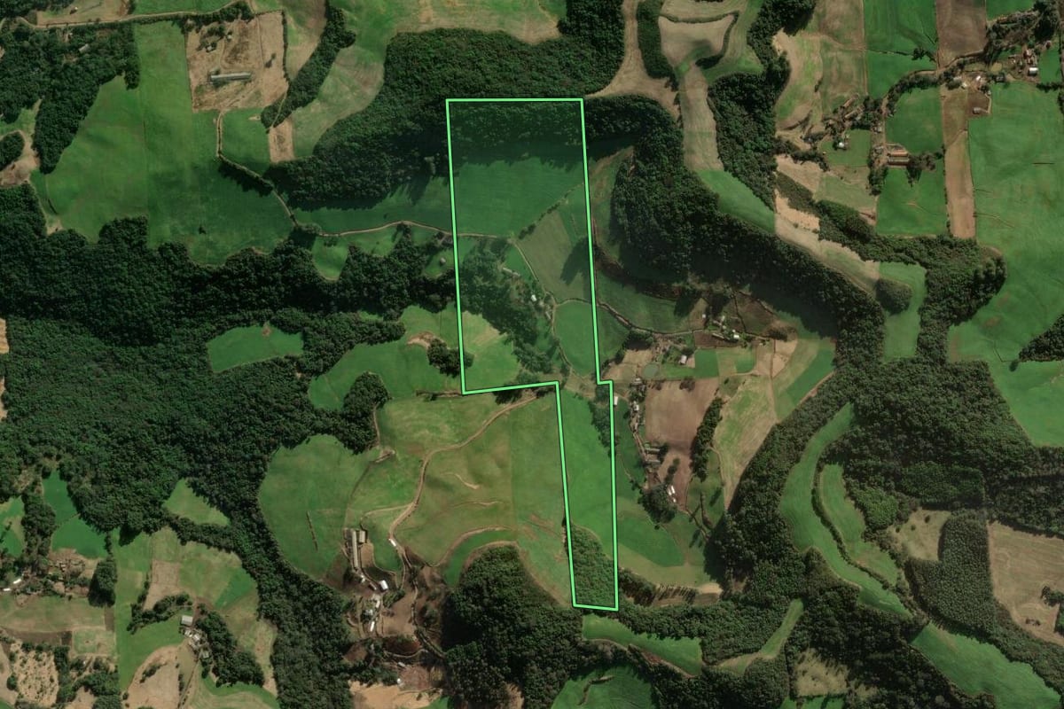 Imagem de satélite do imóvel rural em União da Serra (RS), com o contorno declarado no CAR desenhado por cima.