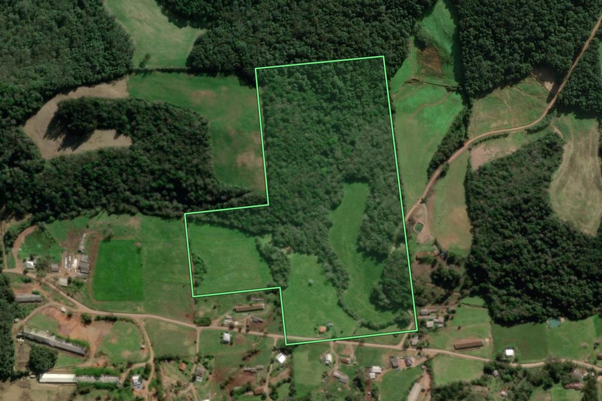Imagem de satélite do imóvel rural em União da Serra (RS), com o contorno declarado no CAR desenhado por cima.