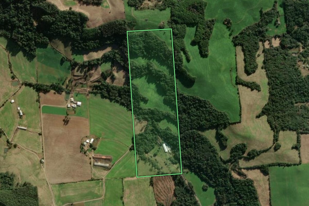 Imagem de satélite do imóvel rural em União da Serra (RS), com o contorno declarado no CAR desenhado por cima.