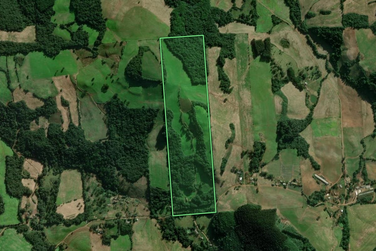 Imagem de satélite do imóvel rural em União da Serra (RS), com o contorno declarado no CAR desenhado por cima.