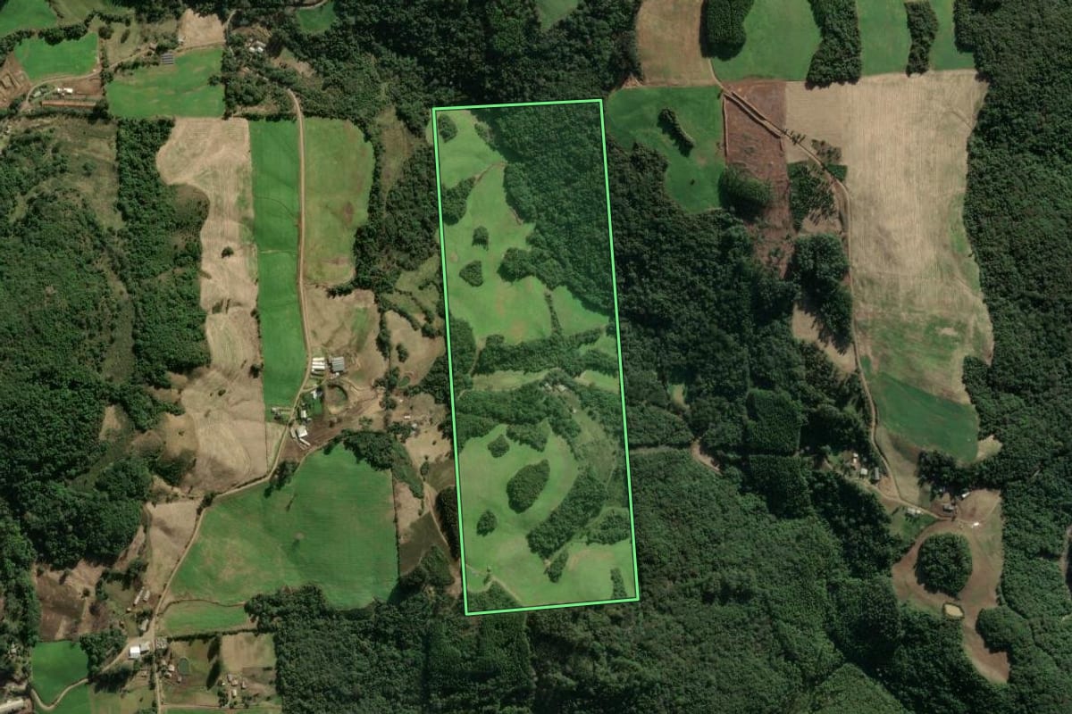 Imagem de satélite do imóvel rural em União da Serra (RS), com o contorno declarado no CAR desenhado por cima.