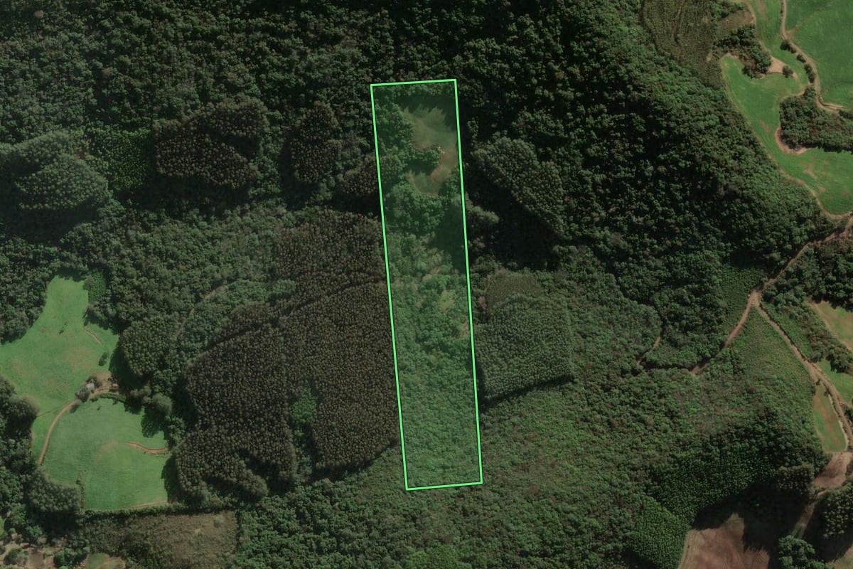 Imagem de satélite do imóvel rural em União da Serra (RS), com o contorno declarado no CAR desenhado por cima.