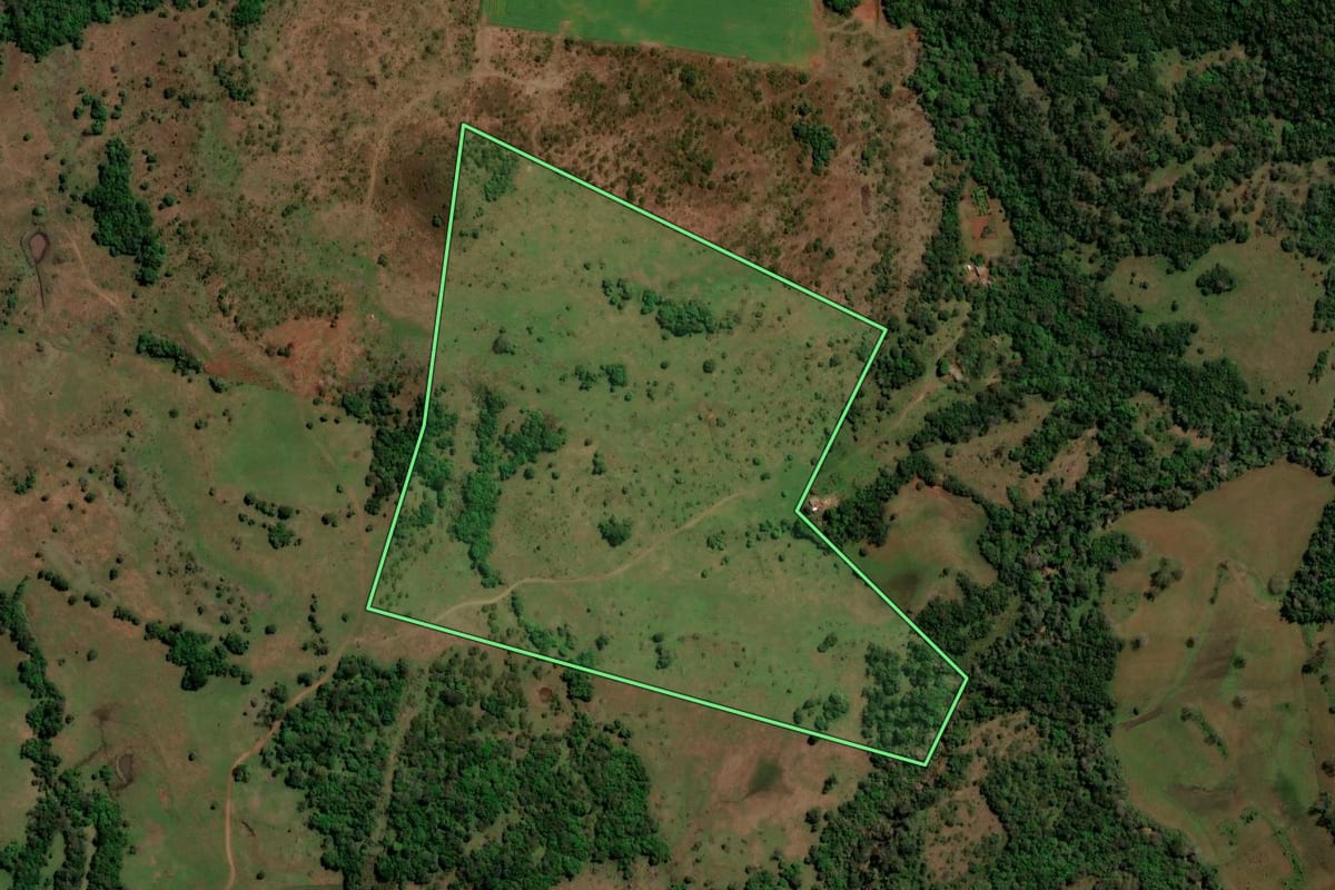 Imagem de satélite do imóvel rural em Unistalda (RS), com o contorno declarado no CAR desenhado por cima.