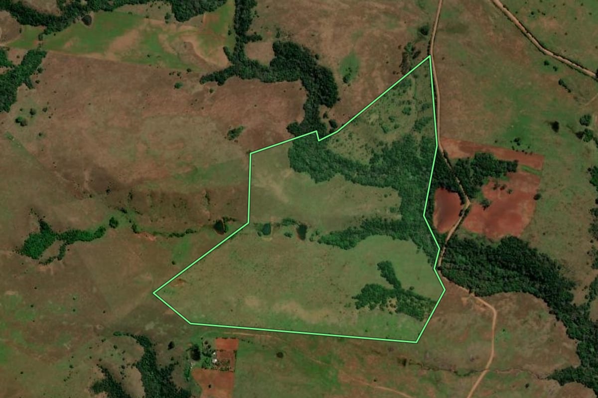 Imagem de satélite do imóvel rural em Unistalda (RS), com o contorno declarado no CAR desenhado por cima.