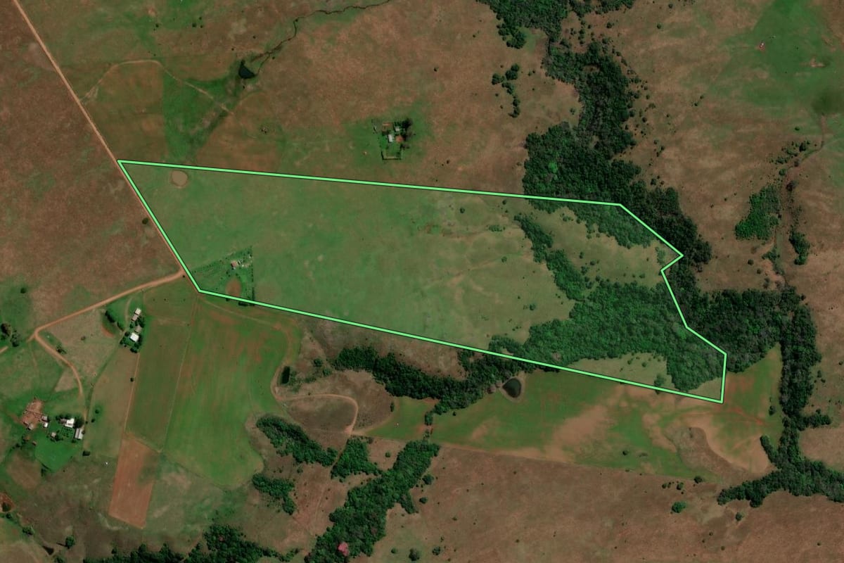 Imagem de satélite do imóvel rural em Unistalda (RS), com o contorno declarado no CAR desenhado por cima.