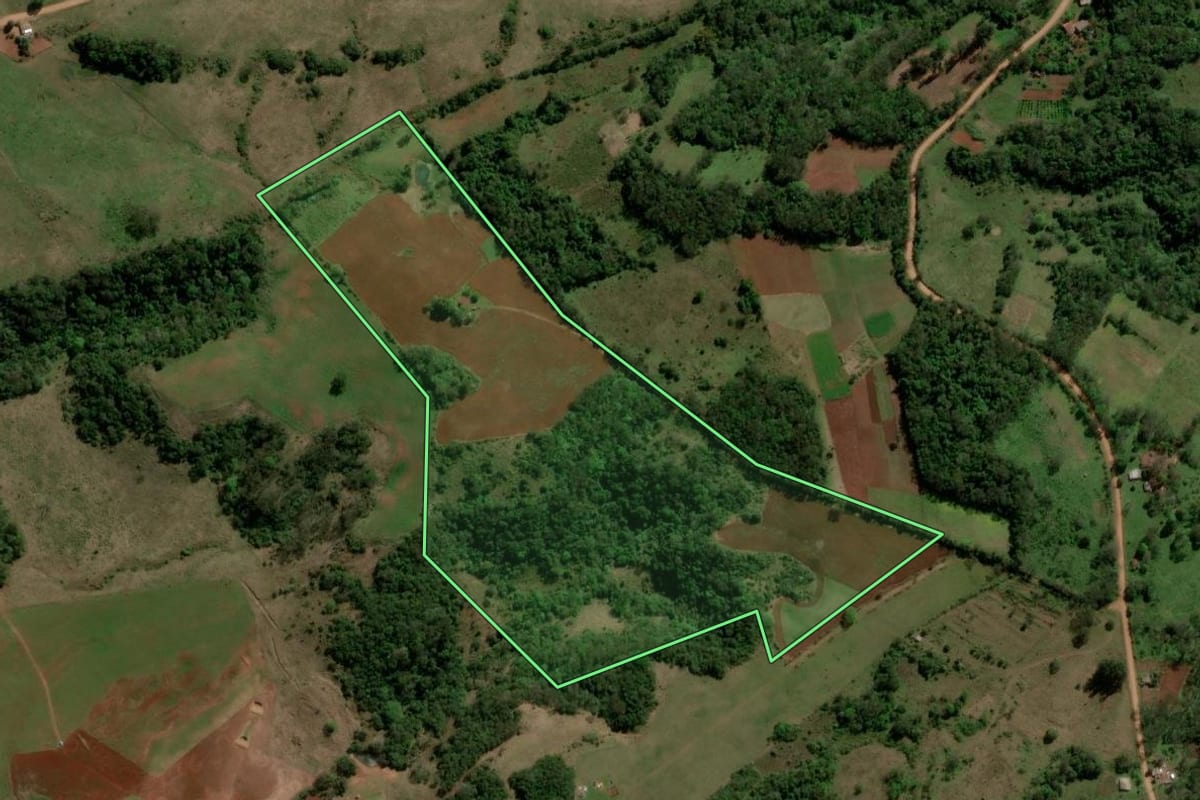 Imagem de satélite do imóvel rural em Unistalda (RS), com o contorno declarado no CAR desenhado por cima.