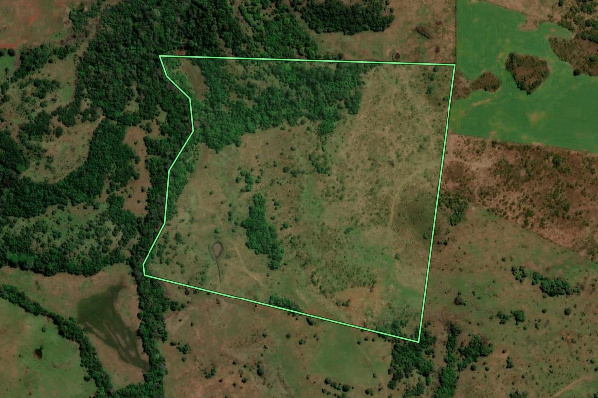 Imagem de satélite do imóvel rural em Unistalda (RS), com o contorno declarado no CAR desenhado por cima.