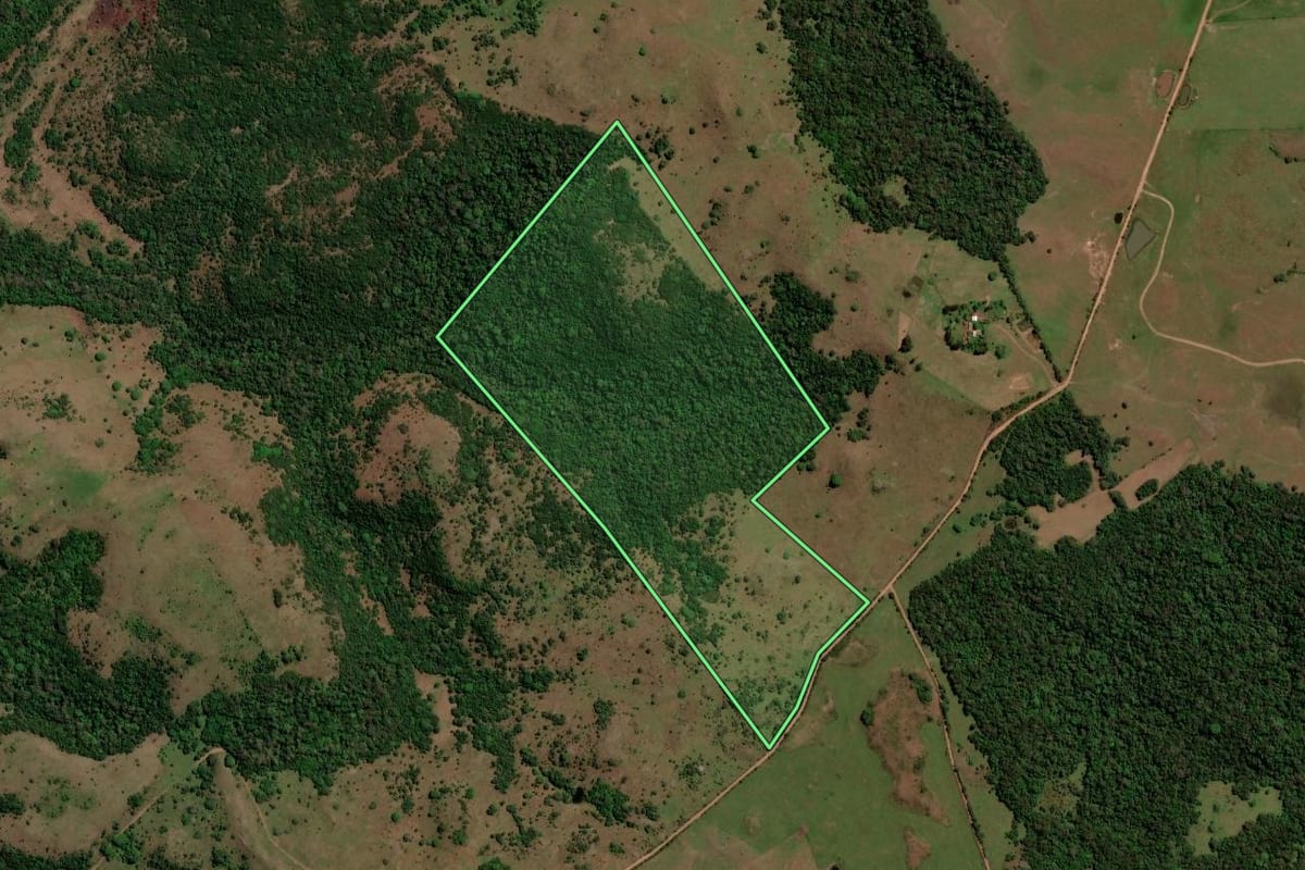Imagem de satélite do imóvel rural em Unistalda (RS), com o contorno declarado no CAR desenhado por cima.
