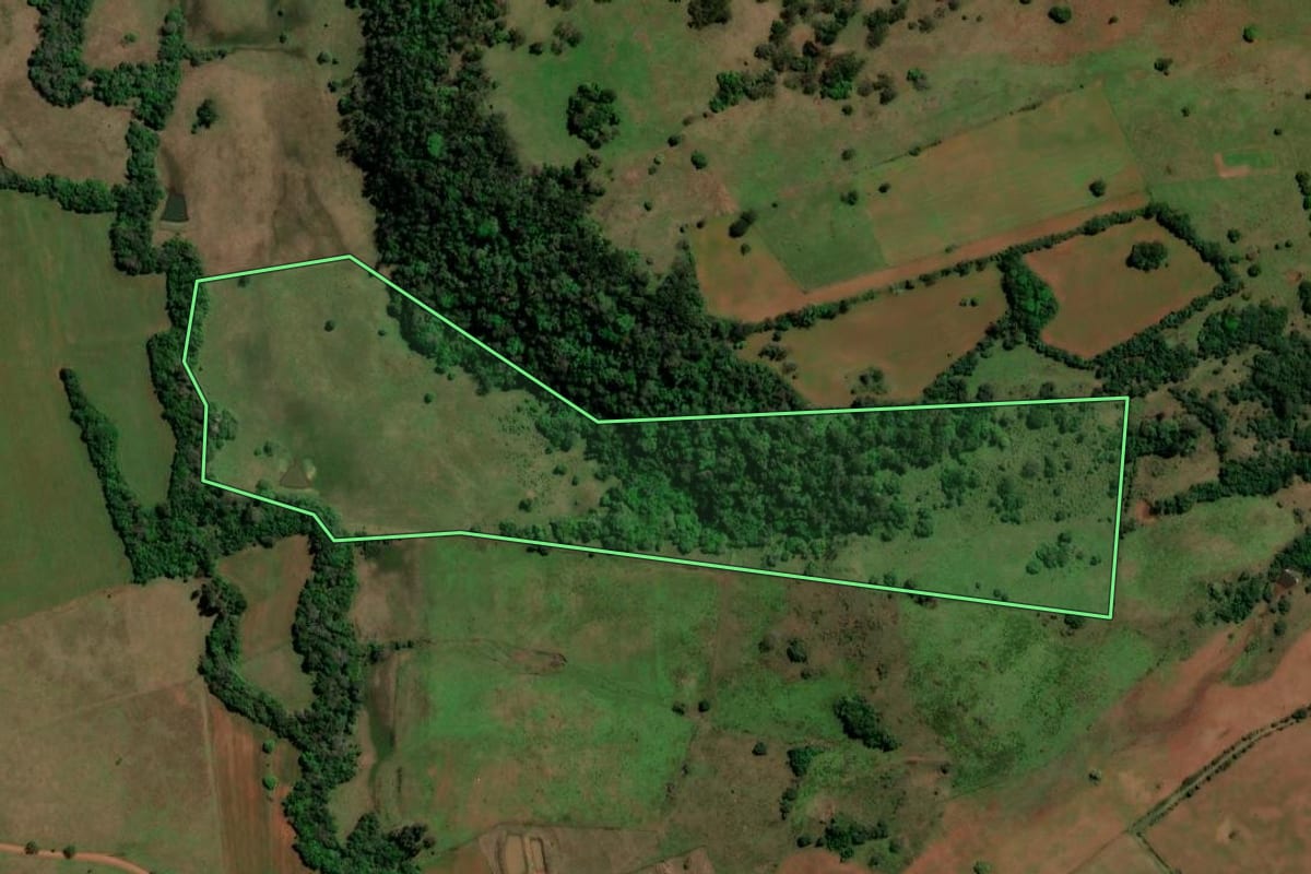 Imagem de satélite do imóvel rural em Unistalda (RS), com o contorno declarado no CAR desenhado por cima.