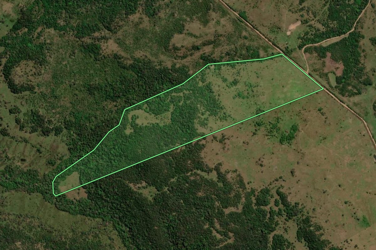 Imagem de satélite do imóvel rural em Unistalda (RS), com o contorno declarado no CAR desenhado por cima.