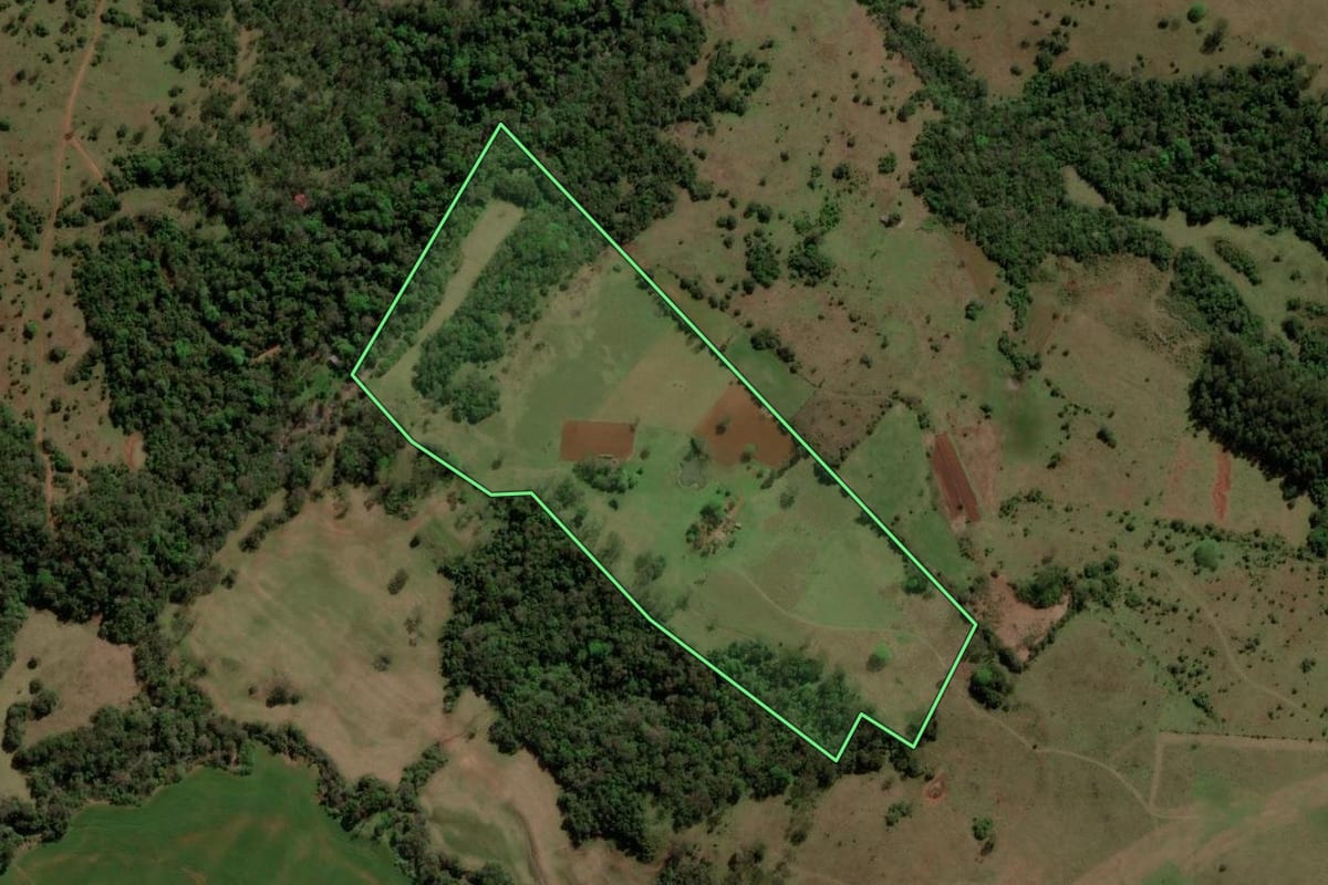 Imagem de satélite do imóvel rural em Unistalda (RS), com o contorno declarado no CAR desenhado por cima.