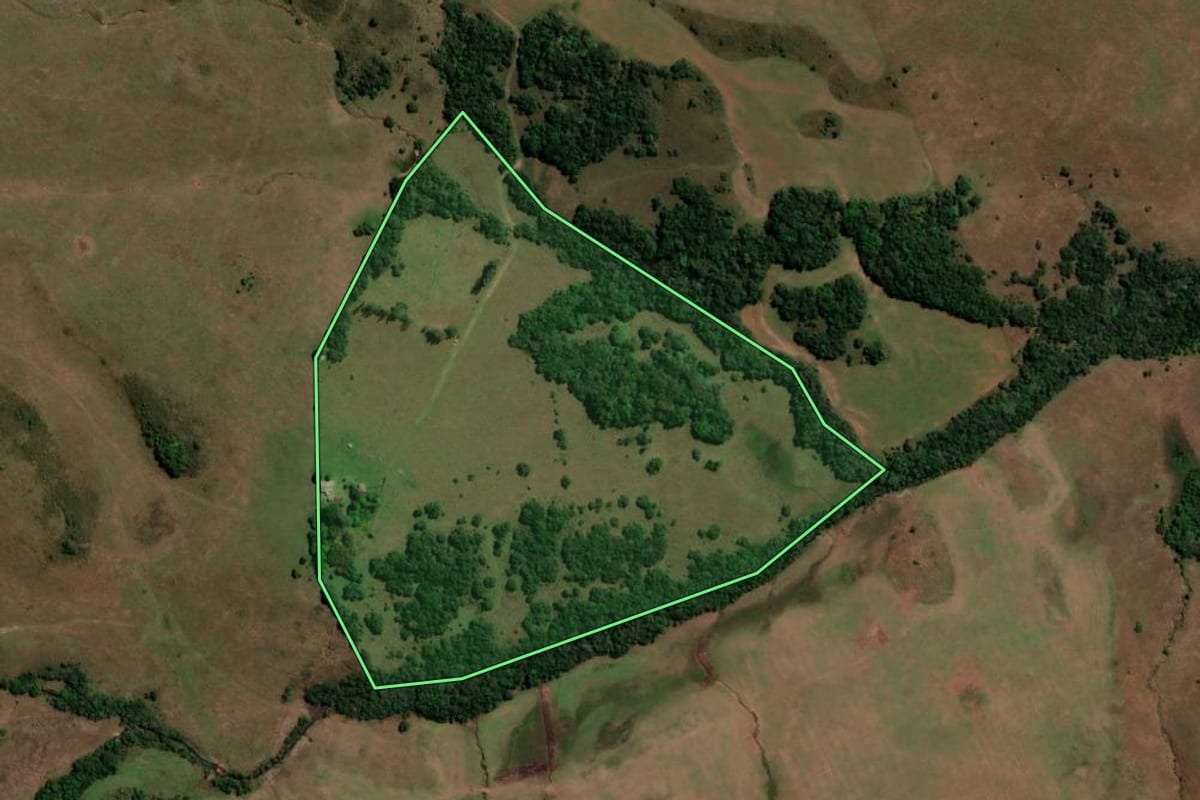 Imagem de satélite do imóvel rural em Unistalda (RS), com o contorno declarado no CAR desenhado por cima.
