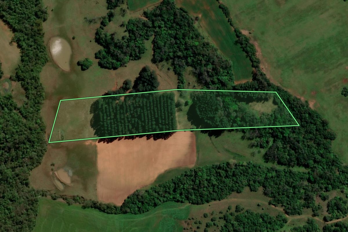 Imagem de satélite do imóvel rural em Unistalda (RS), com o contorno declarado no CAR desenhado por cima.